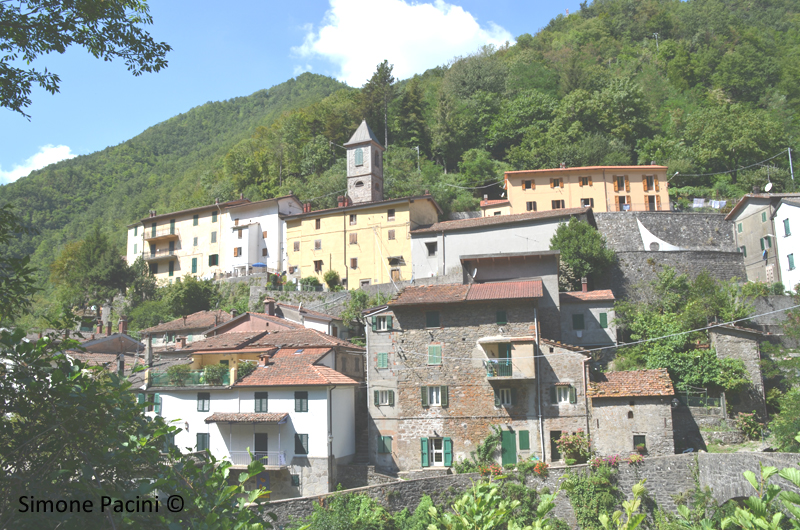 BIAGIONI: PANORAMA 4' IMMAGINE
